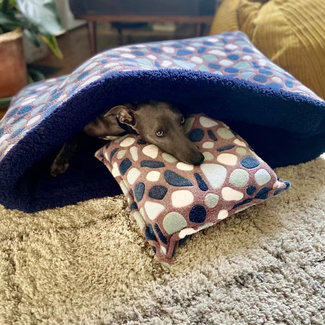 Greyhound snuggle bed 2025